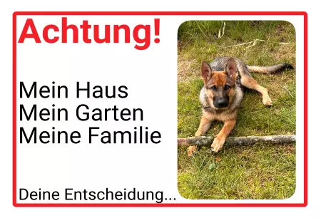  Hunde ACHTUNG - Mein Haus, deine Entscheidung Bild