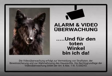 Hunde ALARM & VIDEO ÜBERWACHUNG Bild