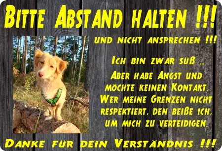  Hunde BITTE ABSTAND HALTEN !!! Bild