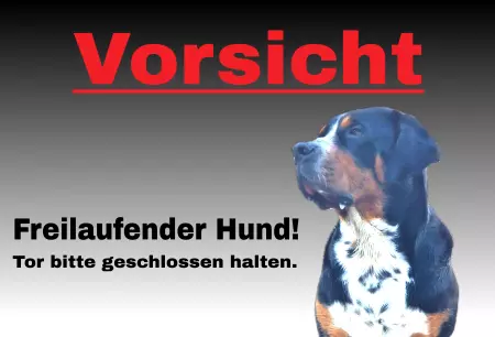 Hunde Freilaufender Hund! Bild