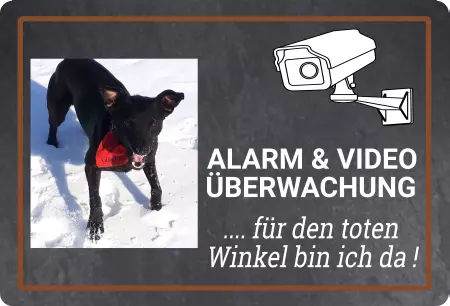 Hunde .. für den toten Winkel ... Bild