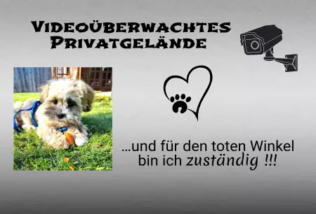 Hunde Videoüberwachtes Privatgelände Bild