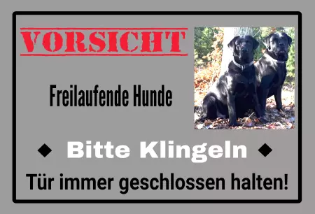 Hunde VORISCHT  - Bitte klingeln Bild