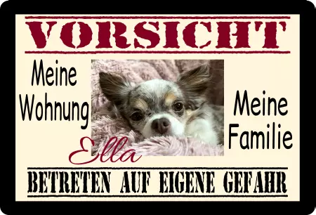  Hunde VORSICHT Bild