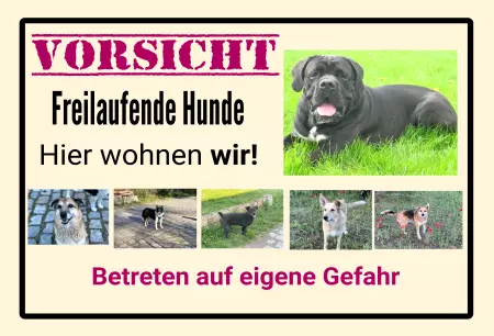 Hunde VORSICHT Freilaufender Hund Bild