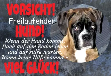 Hunde VORSICHT - Freilaufender Hund Bild
