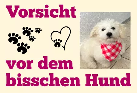 Hunde Vorsicht vor dem bisschen Hund Bild