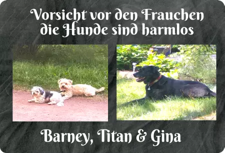 Hunde Vorsicht vor dem Frauchen Bild