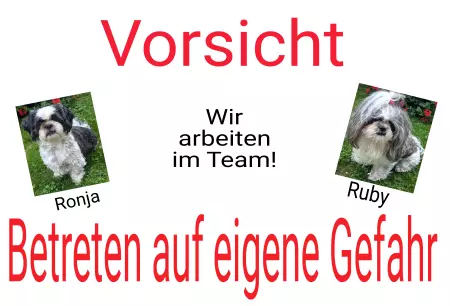  Hunde Wir arbeiten im Team! Bild