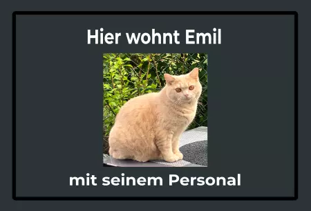 Katzen Hier wohnt Emil Bild