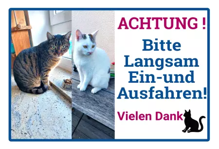 Tiere Bitte langsam fahren! Bild