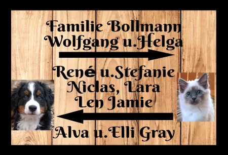  Tiere Familie Bollmann Bild