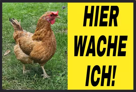  Tiere HIER WACHE ICH Bild