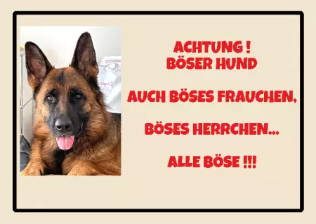 Hunde Achtung! Böser Hund Bild