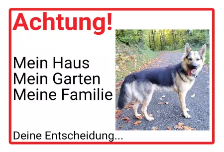 Hunde Achtung! Deine Entscheidung... Bild