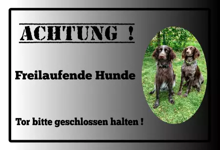 Hunde Achtung! Freilaufende Hunde Bild