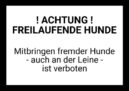  Hunde ACHTUNG FREILAUFENDE HUNDE Bild