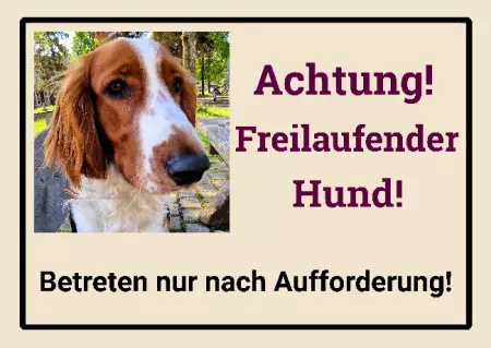  Hunde Achtung! Freilaufender Hund! Bild