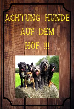 Hunde ACHTUNG HUNDE AUF DEM HOF !!! Bild