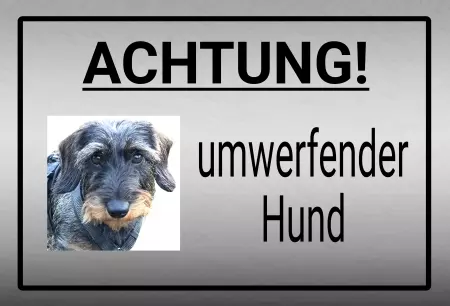 Hunde ACHTUNG! Umwerfender Hund Bild
