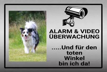 Hunde Alarm & Videoüberwachung Bild
