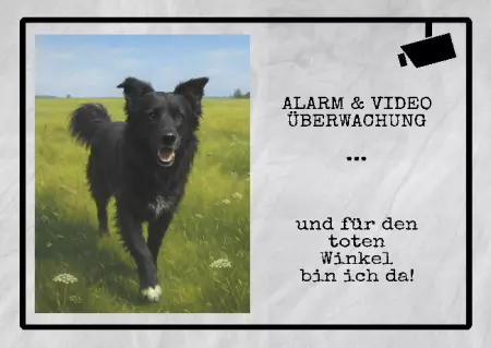  Hunde Alarm & Videoüberwachung Bild