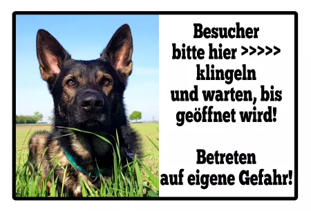 Hunde Betreten auf eigene Gefahr Bild