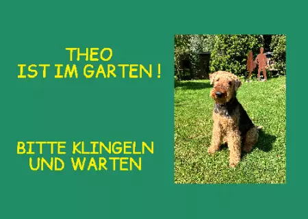  Hunde Bitte klingeln und warten Bild