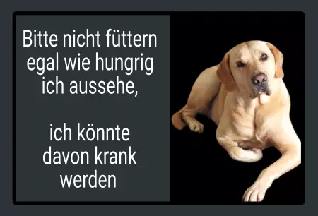 Hunde Bitte nicht füttern! Bild