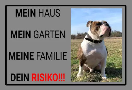  Hunde DEIN RISIKO!!! Bild