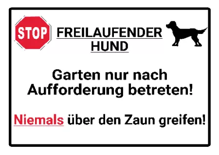 Hunde FREILAUFENDER HUND Bild