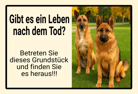 Hunde Gibt es ein Leben nach dem Tod? Bild