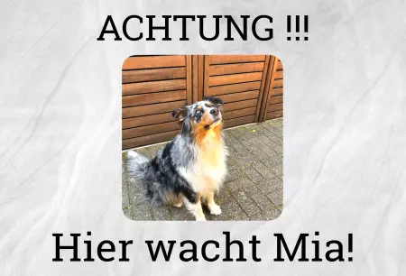 Hunde Hier wacht Mia! Bild