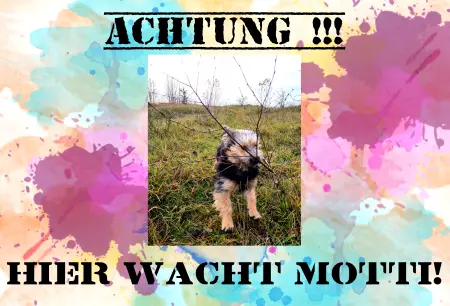 Hunde HIER WACHT MOTTI! Bild