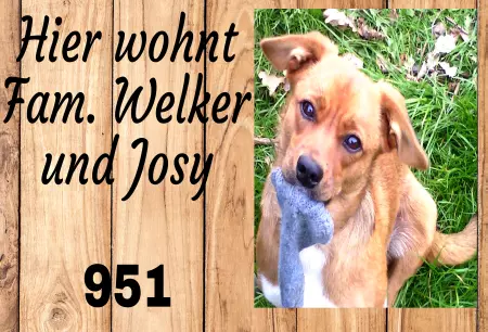 Hunde Hier wohnt Josy Bild