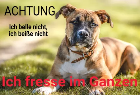 Hunde Ich belle nicht, ich beiße nicht, ich ... Bild