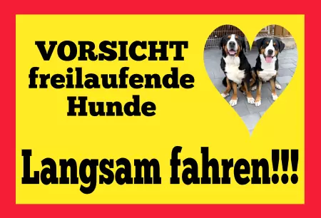 Hunde Langsam fahren - Hunde Bild