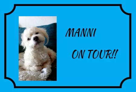 Hunde MANNI ON TOUR Bild