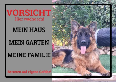 Hunde Mein Haus, Mein Garten, ... Bild