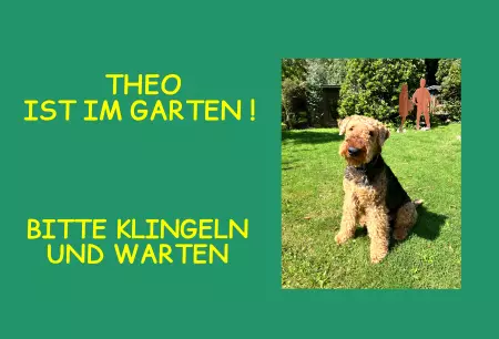 Hunde Theo ist im Garten! Bild