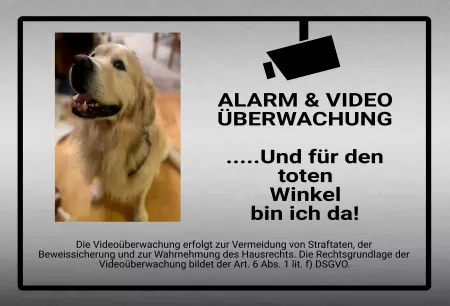 Hunde ... und für den toten Winkel bin ich da! Bild