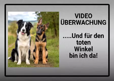 Hunde VIDEO ÜBERWACHUNG Bild