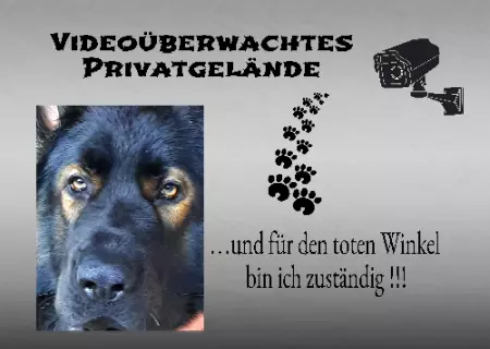Hunde Videoüberwachtes Privatgelände Bild