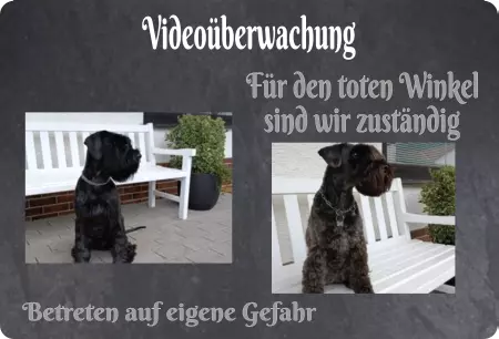 Hunde Videoüberwachung Für den toten Winkel ... Bild