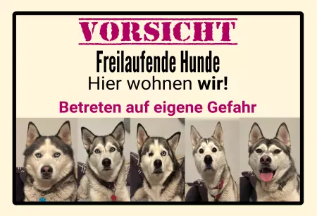 Hunde VORSICHT Freilaufende Hunde Bild