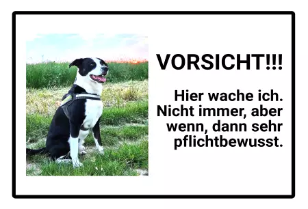 Hunde VORSICHT!  Hier wache ich. Nicht immer, aber ... Bild