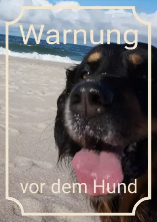  Hunde Warnung vor dem Hund Bild