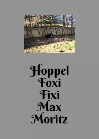 Tiere Hoppel, Foxi, Fixi, Max, Moritz Bild